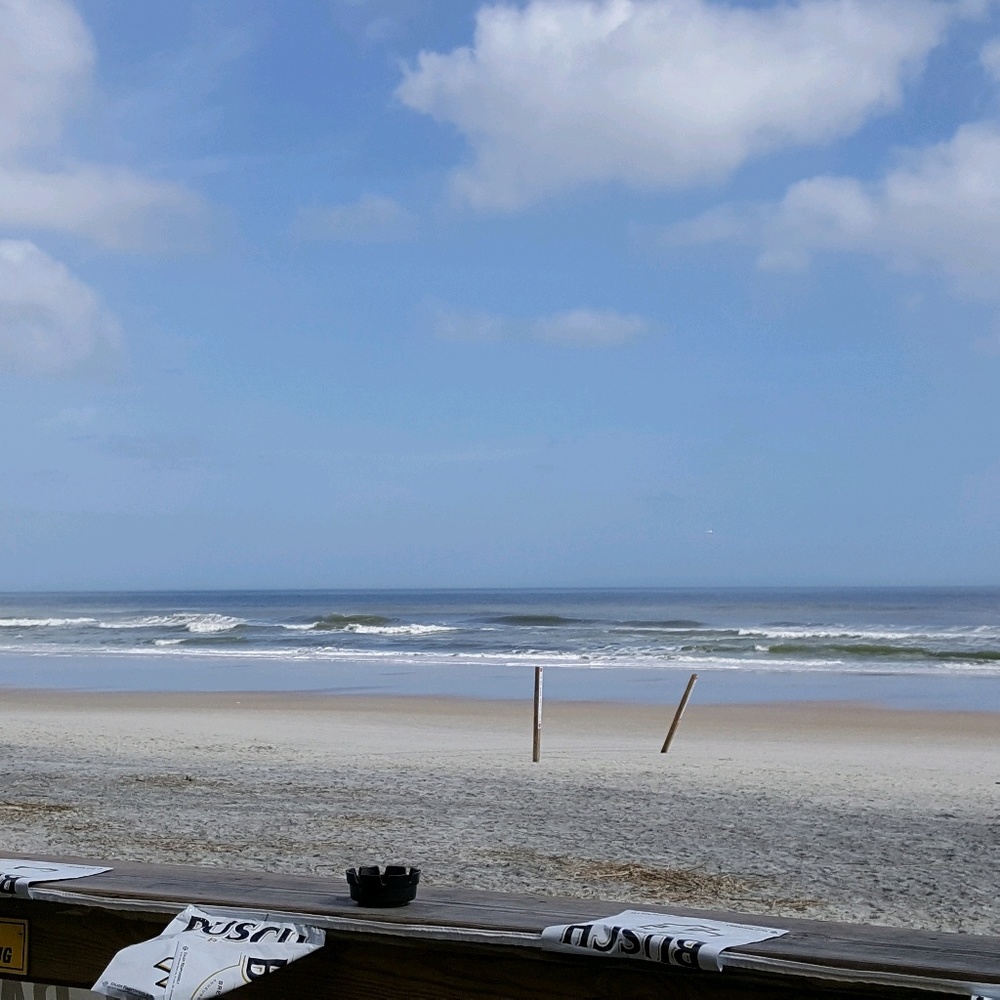 Meet your Posher, Regina